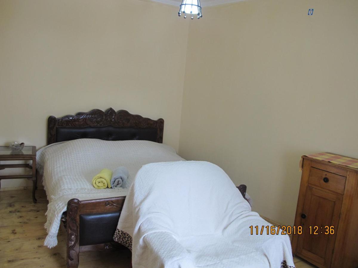 Guest House Elisabeth Adishi Exterior foto